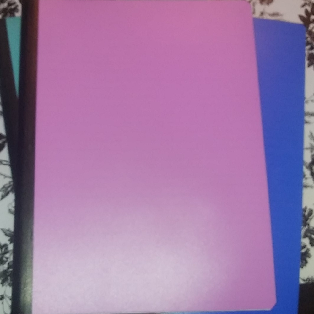 3 notebooks - Picture 4 of 5